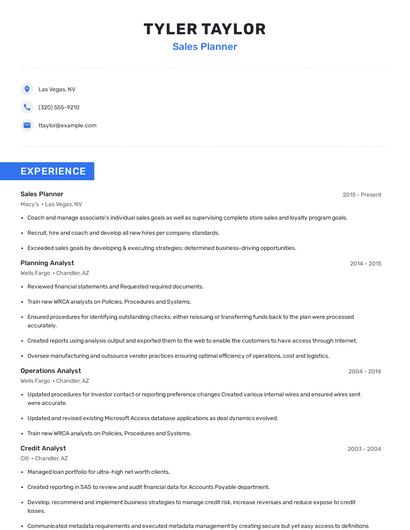 Sales Planner Resume