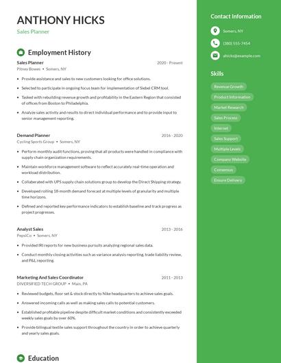 Sales Planner Resume