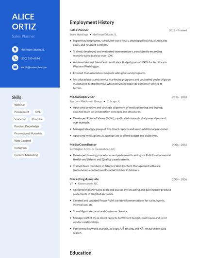 Sales Planner Resume