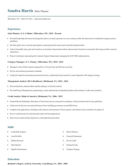 Sales Planner Resume