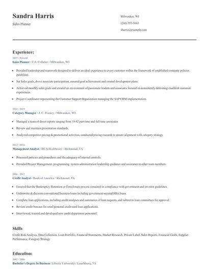 Sales Planner Resume