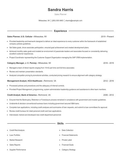 Sales Planner Resume