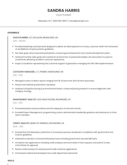 Sales Planner Resume