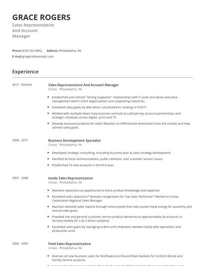 Sales Representative And Account Manager Resume