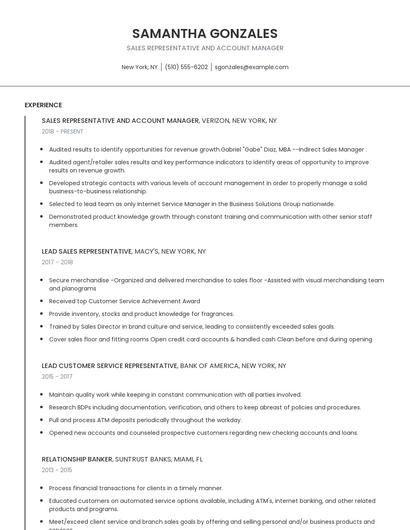 Sales Representative And Account Manager Resume