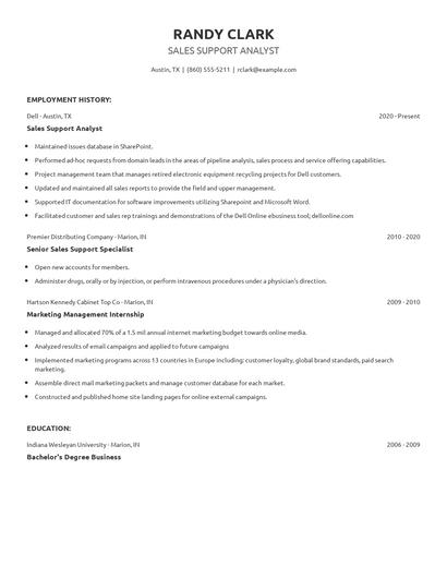 Sales Support Analyst Resume
