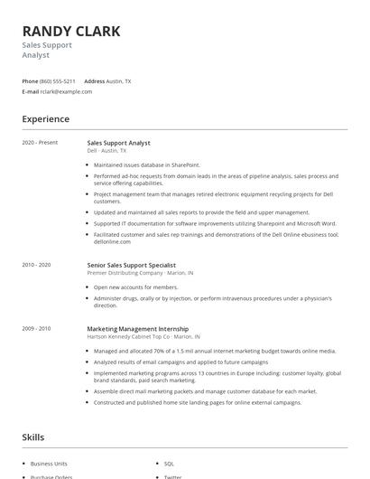 Sales Support Analyst Resume