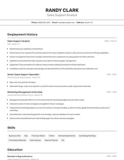 Sales Support Analyst Resume