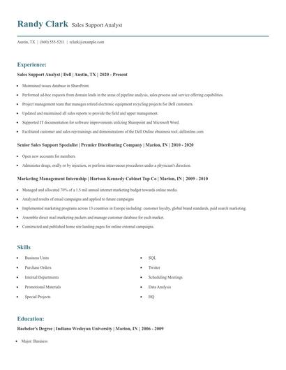 Sales Support Analyst Resume