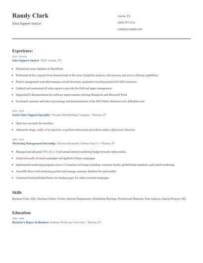 Sales Support Analyst Resume