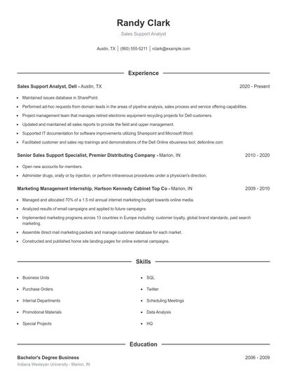 Sales Support Analyst Resume