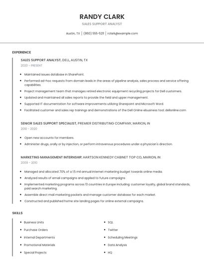 Sales Support Analyst Resume