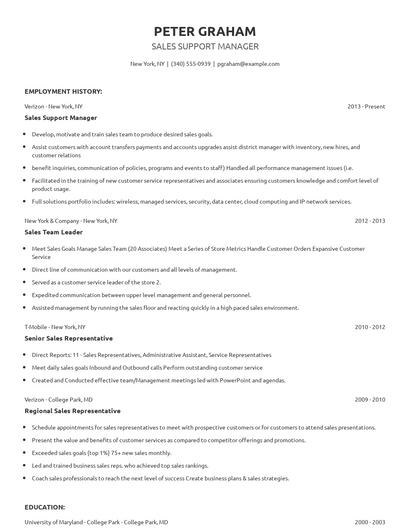 Sales Support Manager Resume