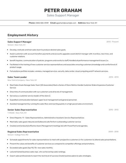 Sales Support Manager Resume