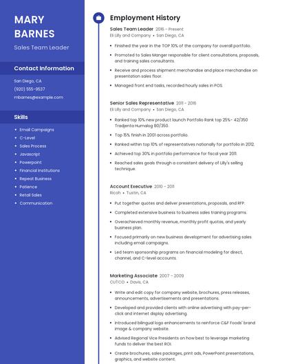 Sales Team Leader Resume