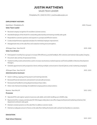 Sales Team Leader Resume
