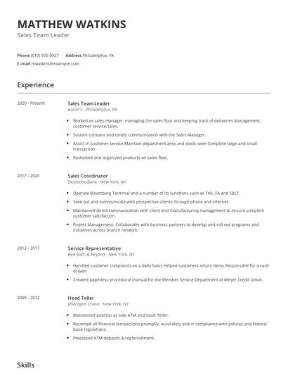 Sales Team Leader Resume