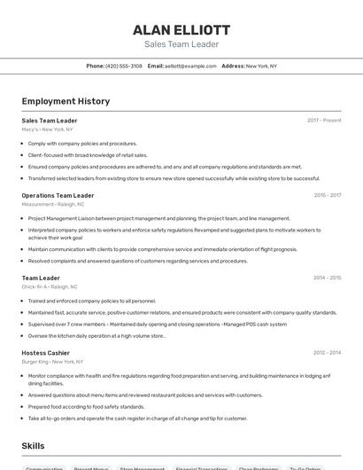 Sales Team Leader Resume