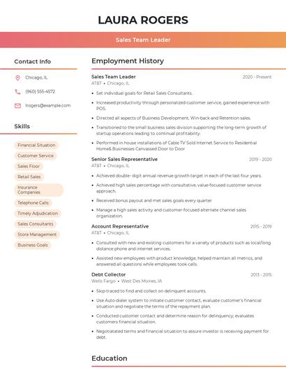 Sales Team Leader Resume