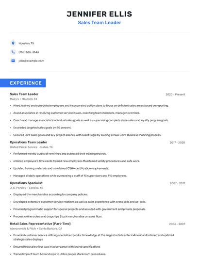 Sales Team Leader Resume