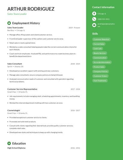 Sales Team Leader Resume