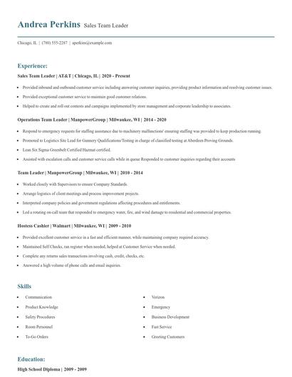 Sales Team Leader Resume