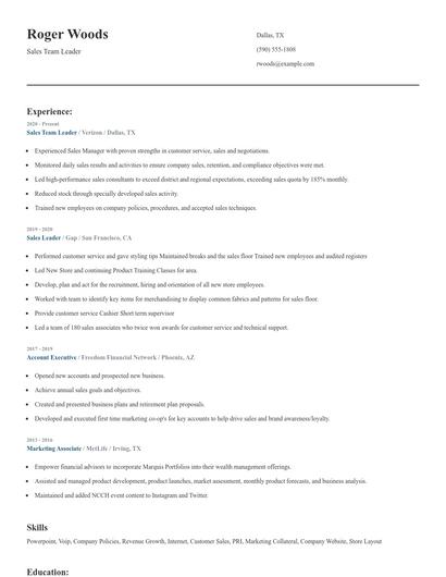 Sales Team Leader Resume