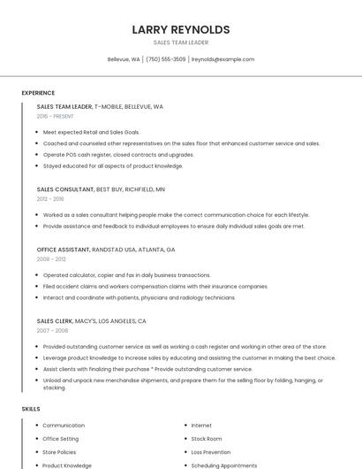 Sales Team Leader Resume