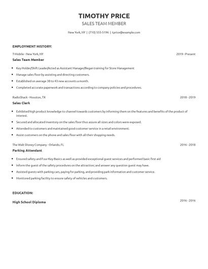 Sales Team Member Resume