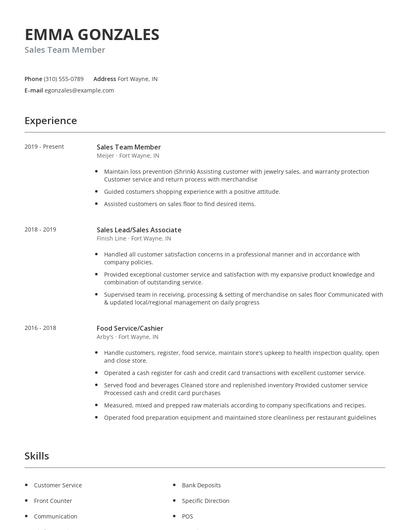 Sales Team Member Resume
