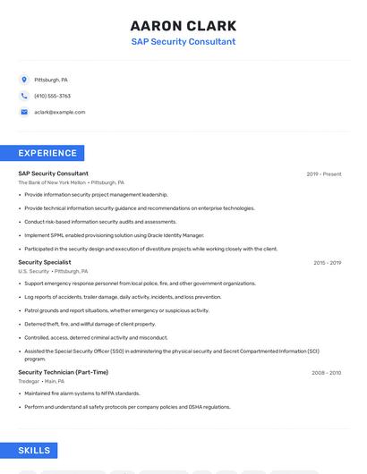 SAP Security Consultant Resume
