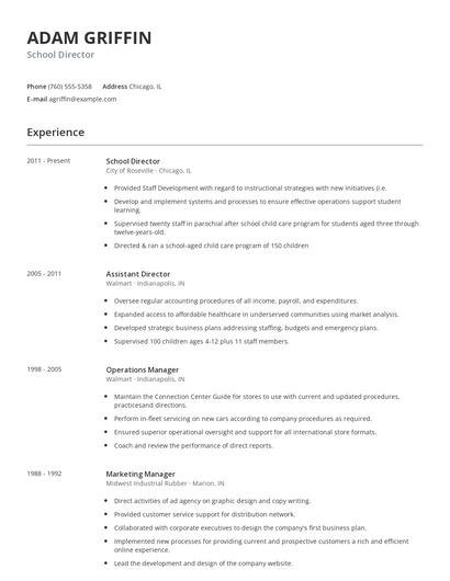 School Director Resume