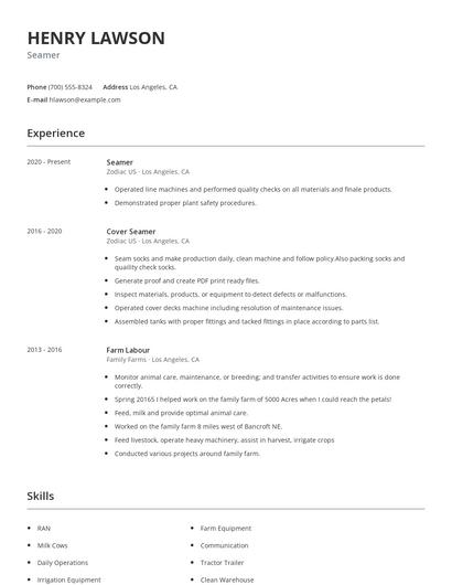 Seamer Resume