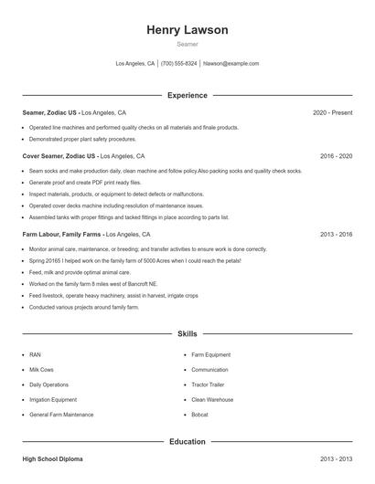 Seamer Resume