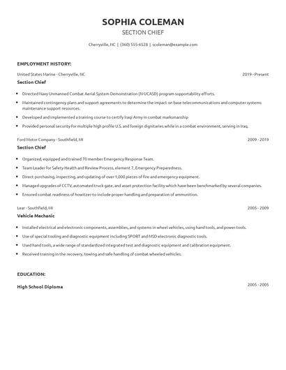 Section Chief Resume