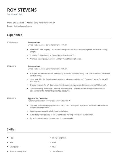 Section Chief Resume