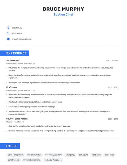 Section Chief Resume