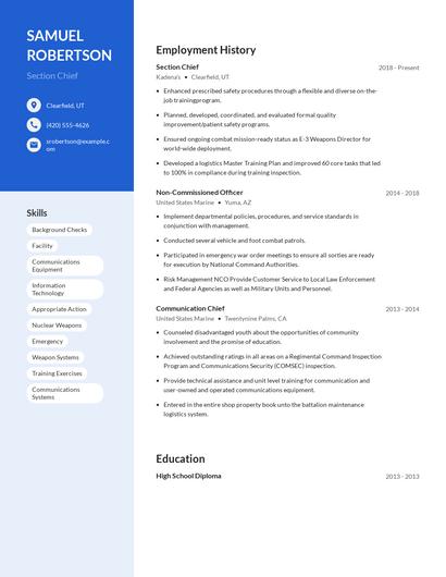 Section Chief Resume