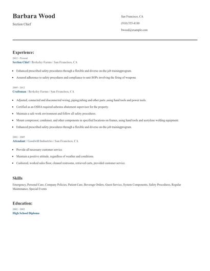 Section Chief Resume