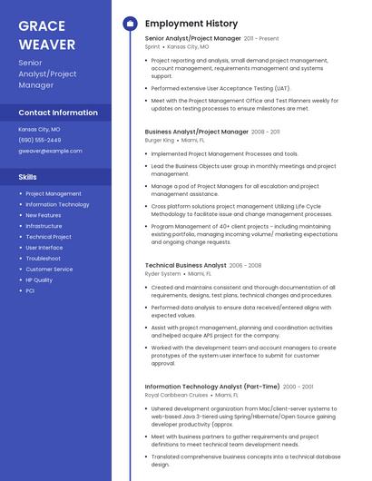 Senior Analyst/Project Manager Resume