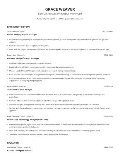 Senior Analyst/Project Manager Resume