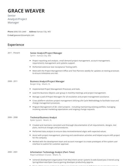 Senior Analyst/Project Manager Resume