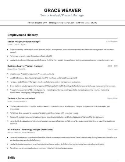 Senior Analyst/Project Manager Resume