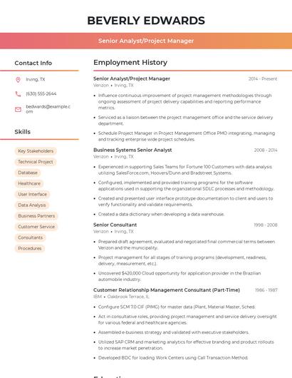 Senior Analyst/Project Manager Resume