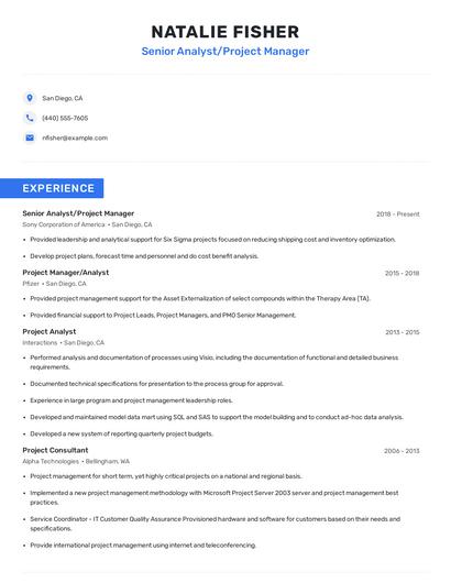Senior Analyst/Project Manager Resume