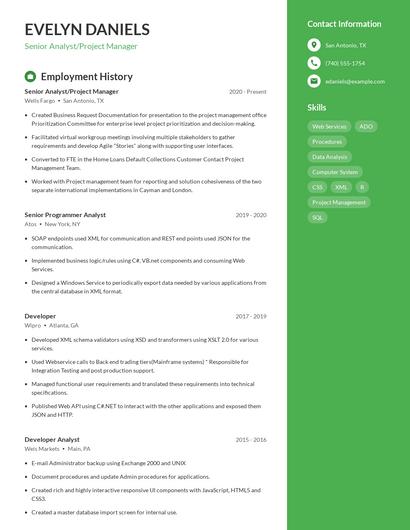 Senior Analyst/Project Manager Resume