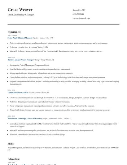 Senior Analyst/Project Manager Resume