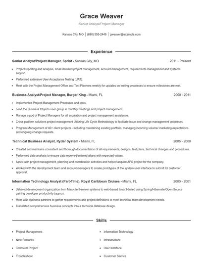 Senior Analyst/Project Manager Resume