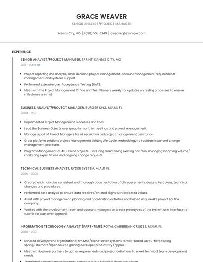 Senior Analyst/Project Manager Resume
