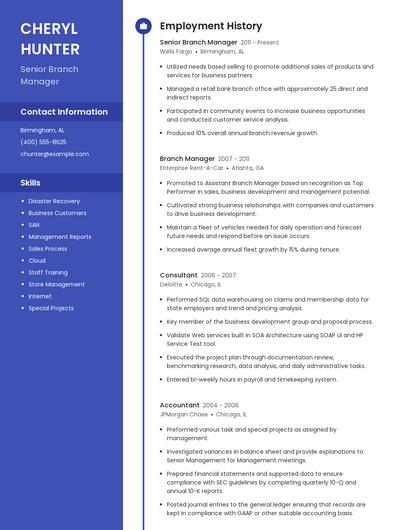 Senior Branch Manager Resume